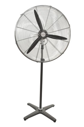 Pedestal Fans